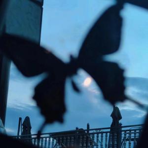 美女操逼流白浆视频
